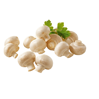 Deutschland - Champignons