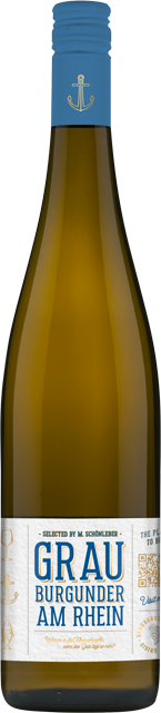 Rheinhessen Allendorf Grauburgunder am Rhein 