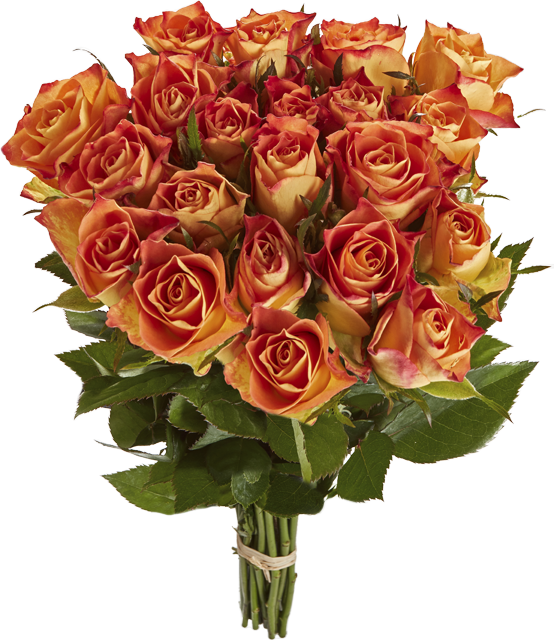Ab Donnerstag erhältlich: ¹Rosenstrauß Fairtrade