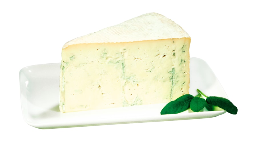 Gorgonzola