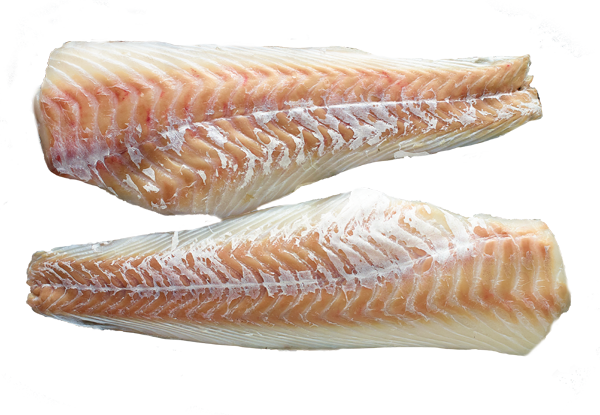 Aus der mittleren Nordsee Kabeljaufilet