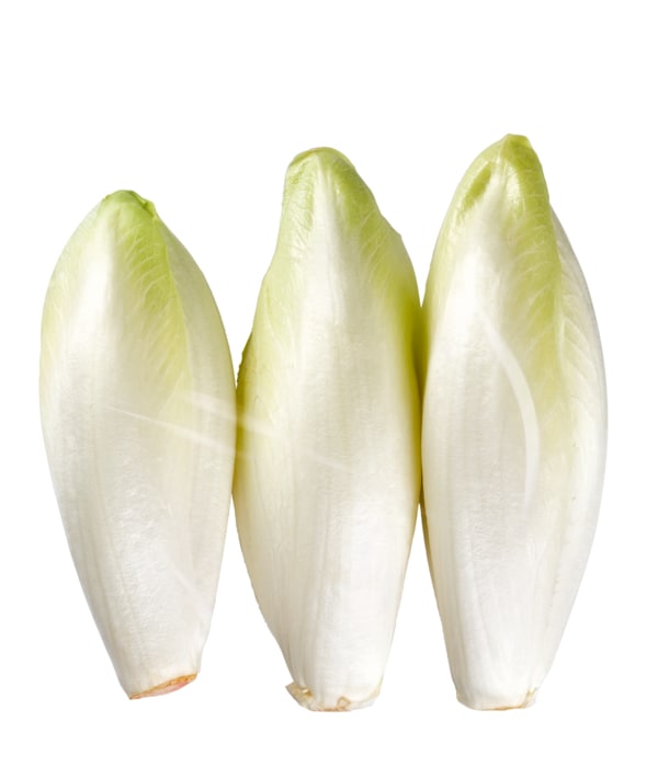 Chicorée