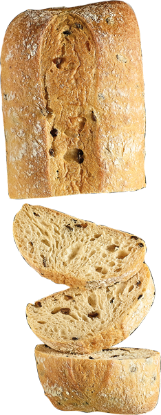 Käfer Ciabatta mit Oliven