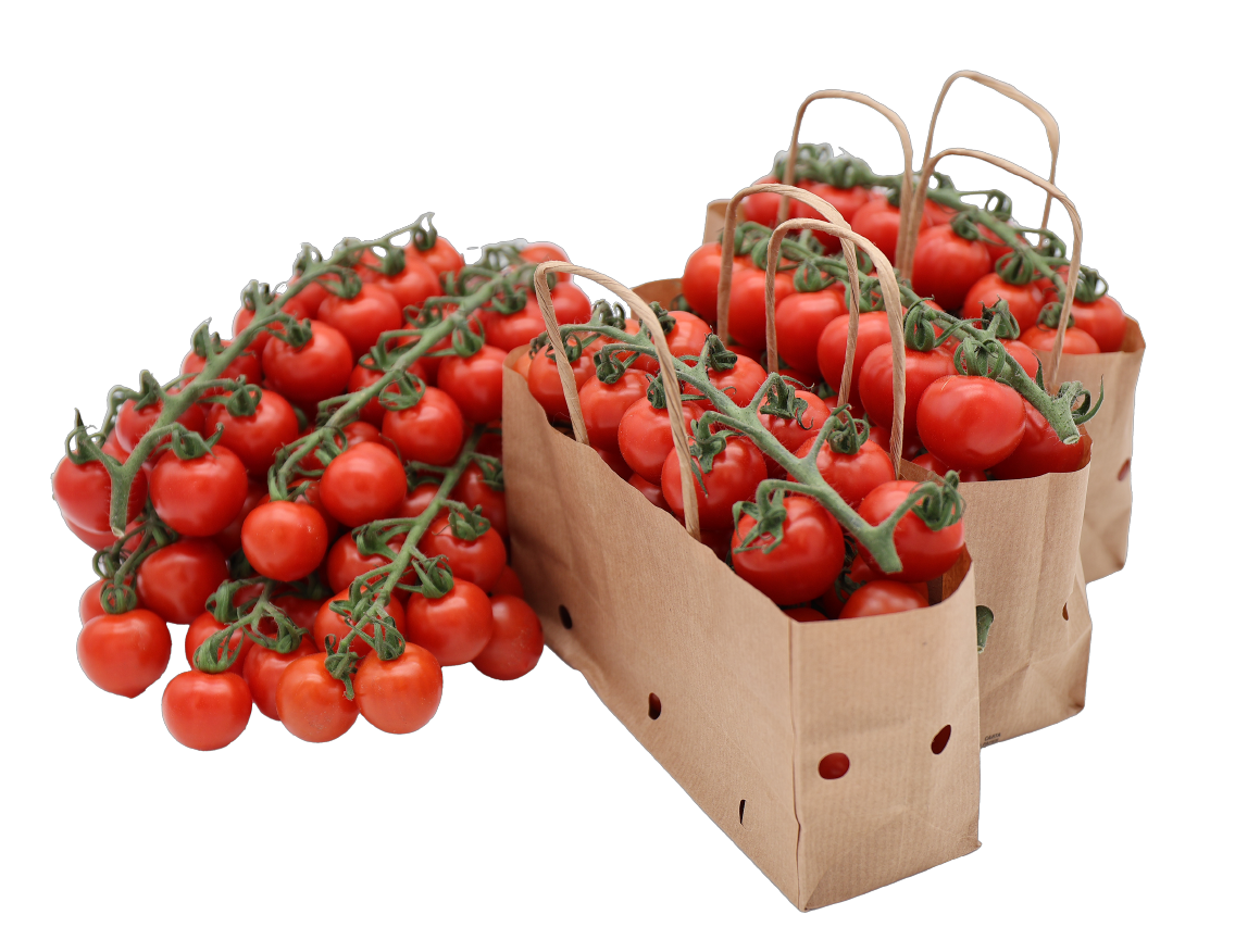 Cherry Rispentomaten "Honigschätze"
