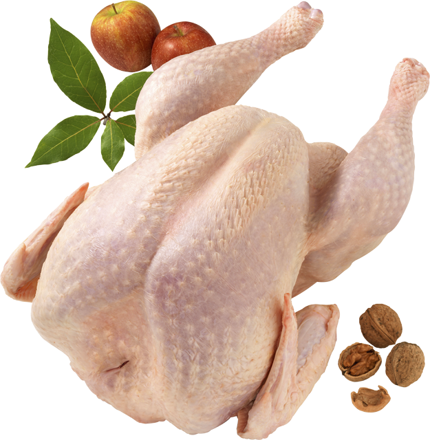 Freitag bis Heiligabend erhältlich: Frische Pute ganz