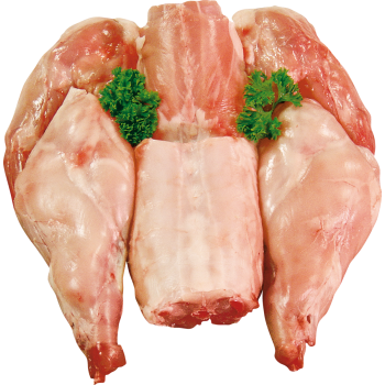 Frische Hauskanichen