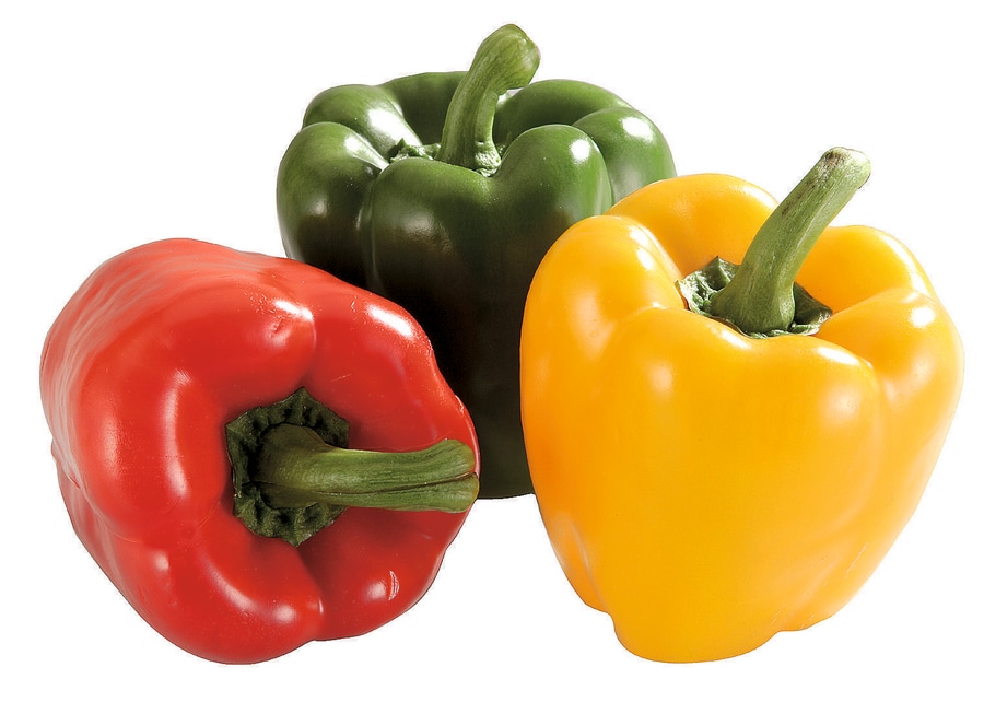 Bio-Paprika Rot oder Mix