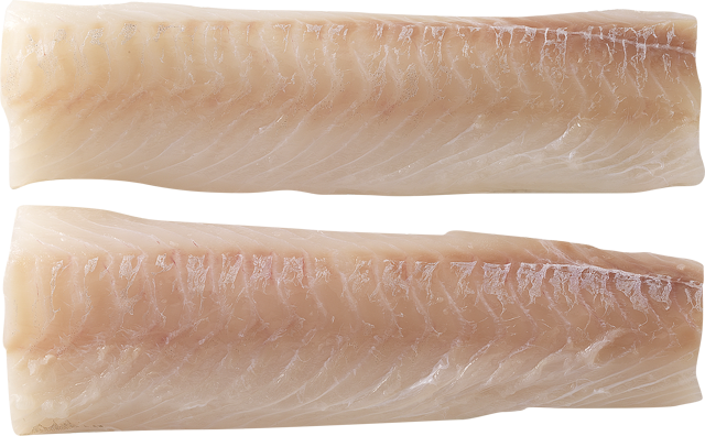Frische Kabeljaurückenfilets