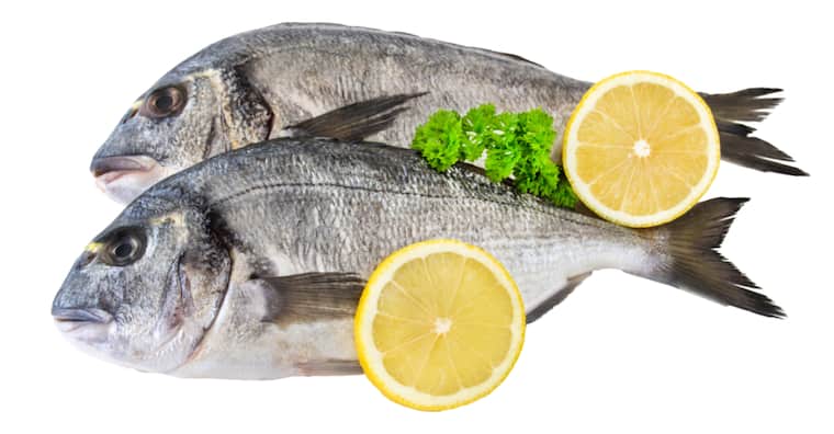 Frische Dorade „Royal“