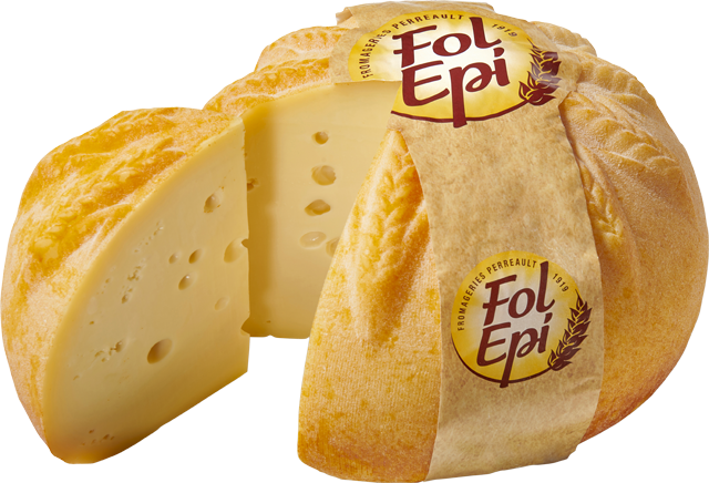 Fol Epi 