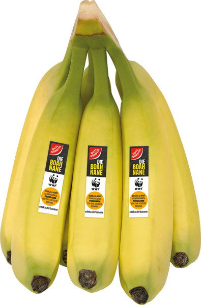 Costa Rica GUT&GÜNSTIG WWF-Bananen