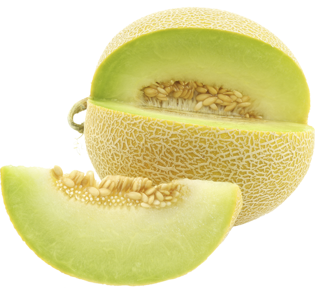 Galia Melonen „ganze Früchte“