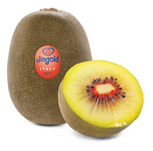Jingold Kiwi „Red Sun“