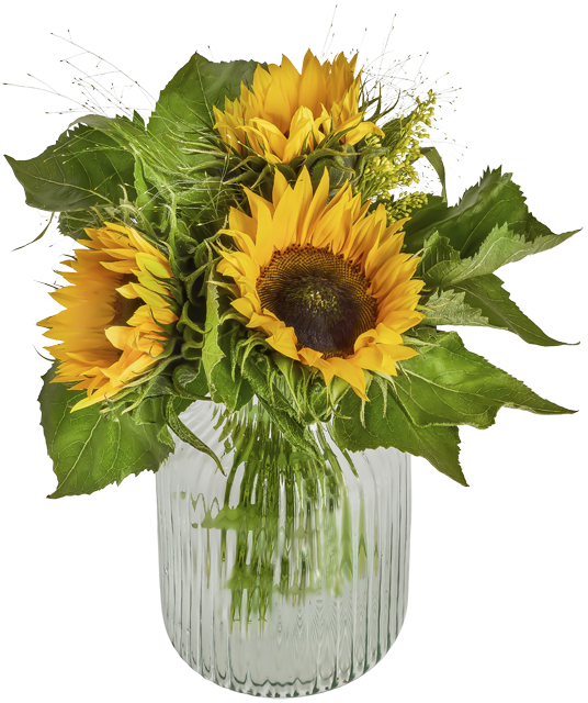 Ab Donnerstag erhältlich: ¹Sonnenblumenstrauß 