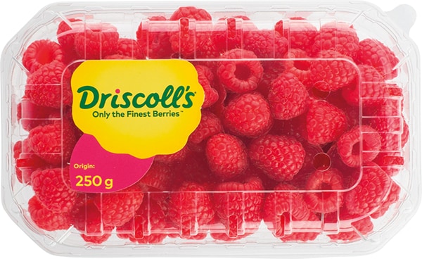 Marokko Driscoll?s Himbeeren