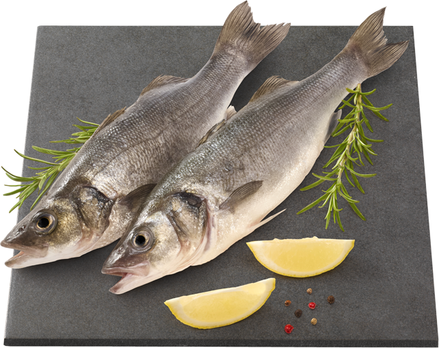 Wolfsbarsch (Loup de Mer)