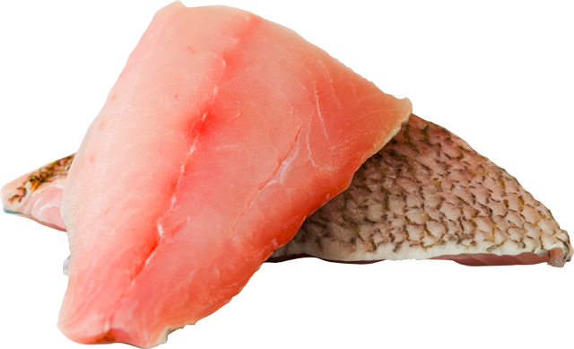 ¹Rotbarbe Rouget Barbet-Filets 