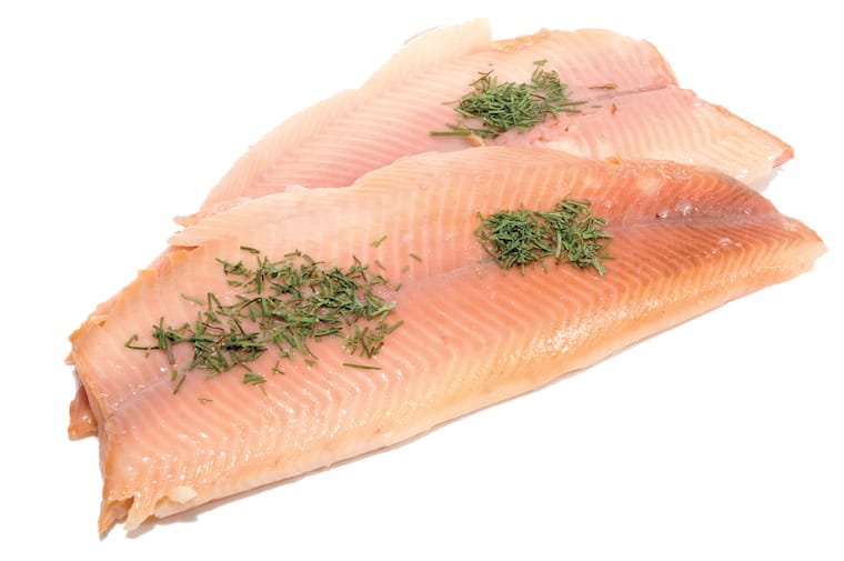 Forellen-Filet