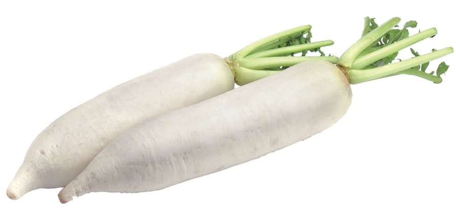 Rettich