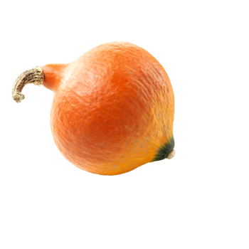 Deutschland - meinLand - Speisekürbis