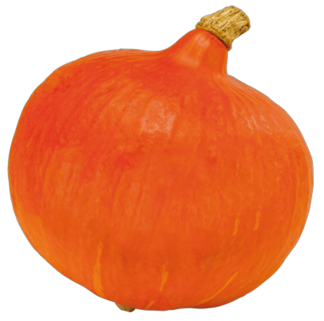 Unsere Heimat Bio Speisekürbisse Hokkaido, Butternut oder Sombra