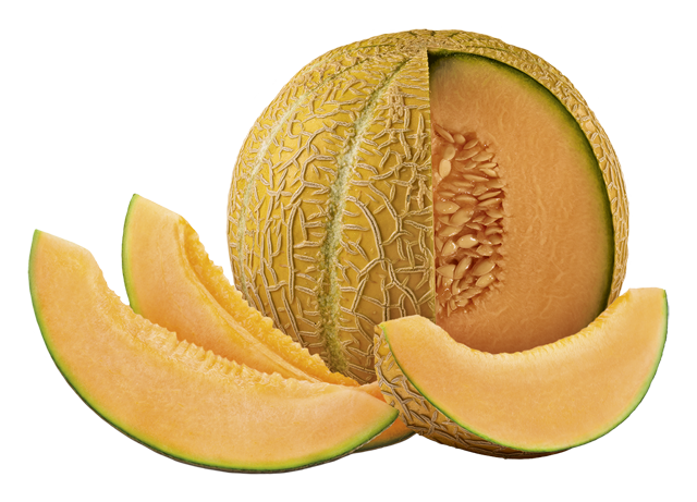 Cantaloupe Melonen 