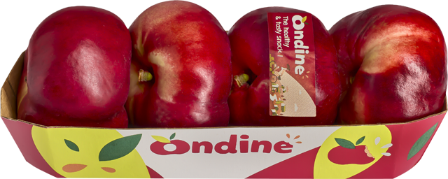 Ondine Plattnektarinen weißfleischig 