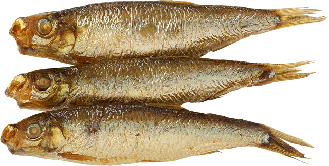 Kieler Sprotten 