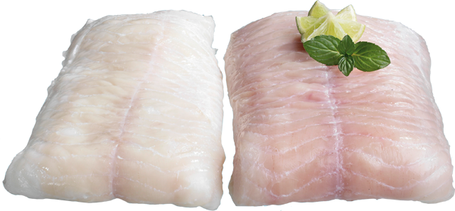 Mittwoch bis Samstag: Steinbeißerfilets