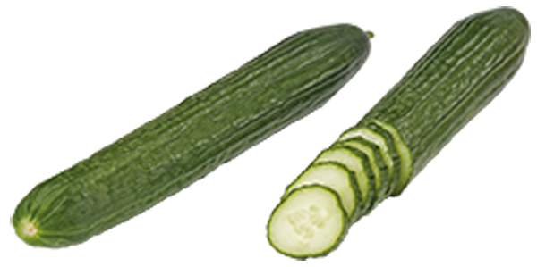Niederlande/ Deutschalnd/ Spanien GUT&GÜNSTIG Salatgurken