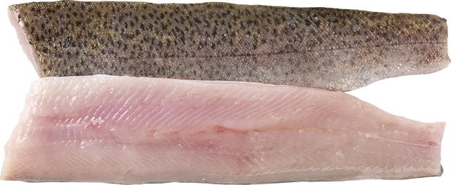 Frische Regenbogenforellenfilets 