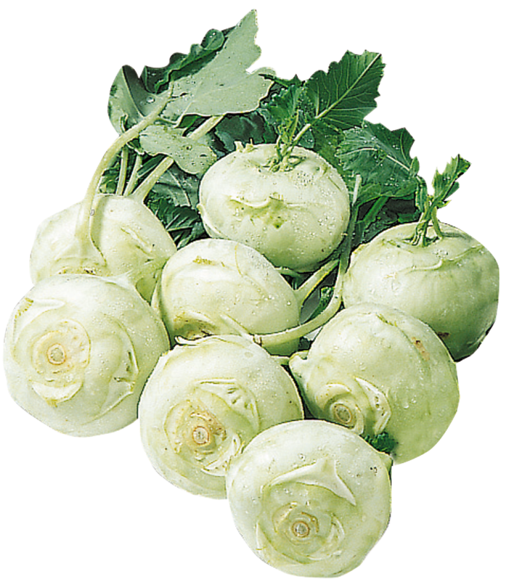 Kohlrabi