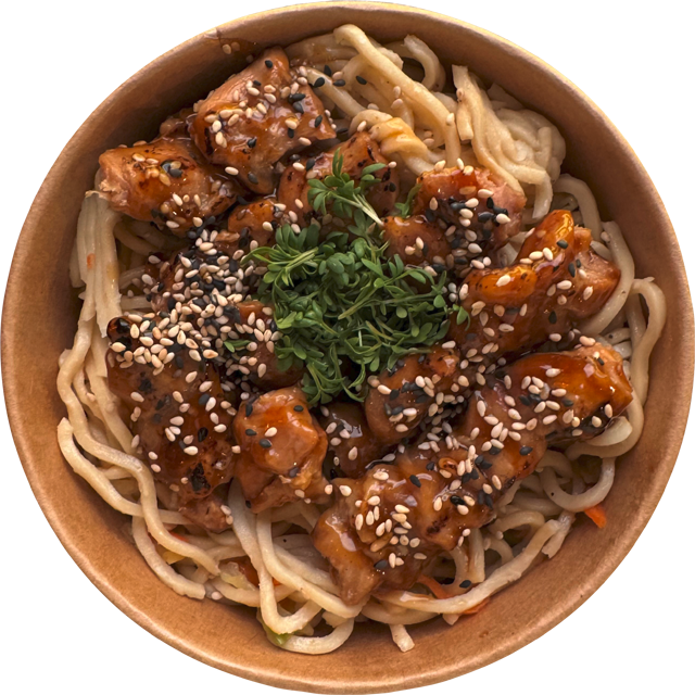 Teriyaki Chicken Bratnudeln
