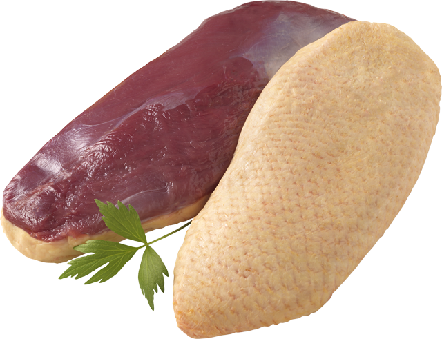 Frische französische Flugentenbrustfilets