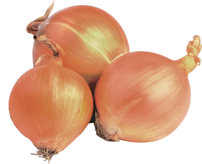 Gut&Günstig Zwiebeln