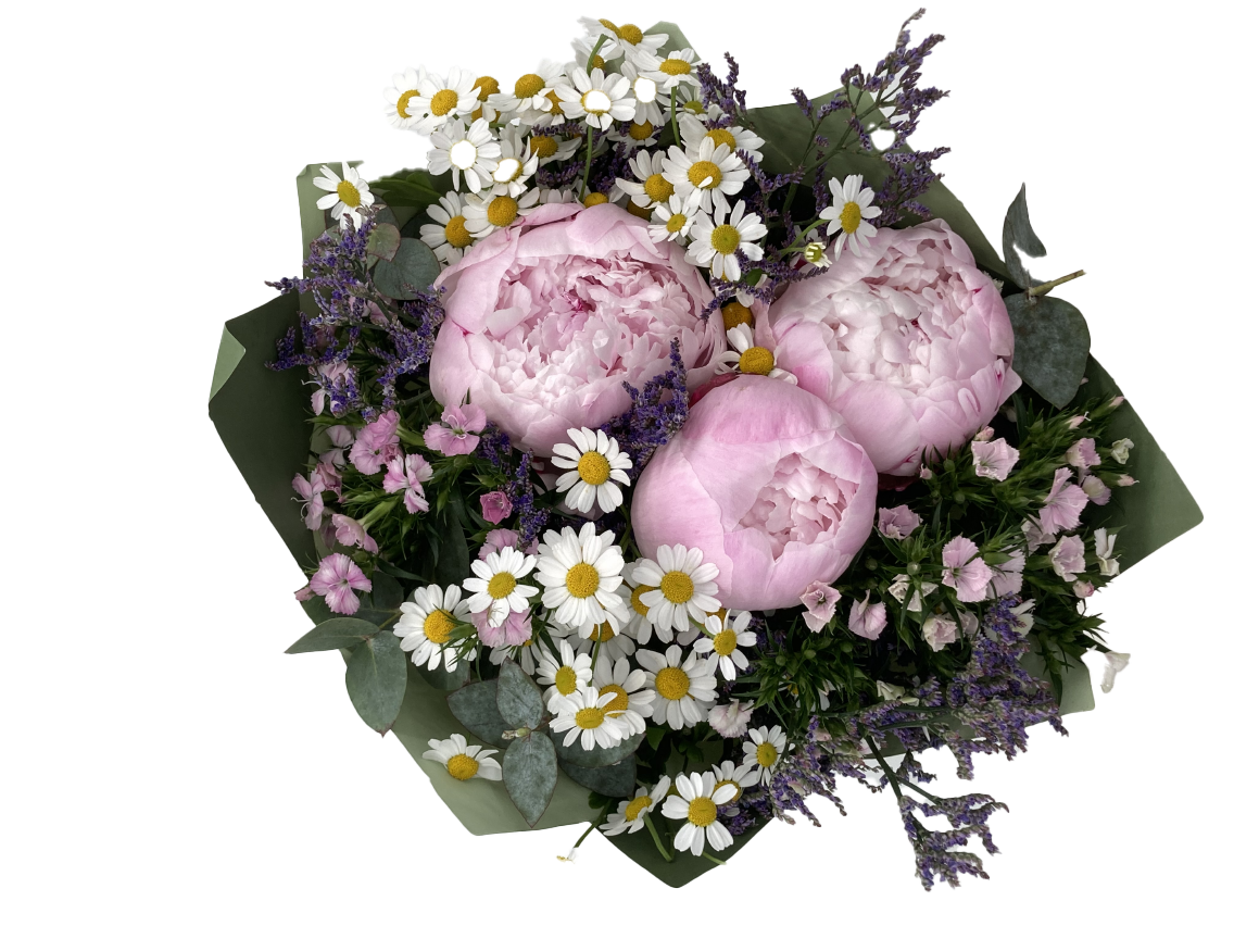 Pfingstrosen Strauß oder Beet- und Balkonpflanzen Mix