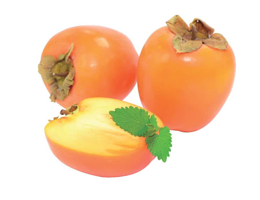 Kaki