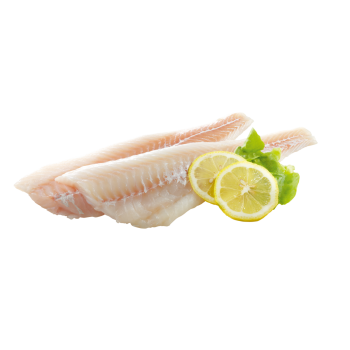 Kabeljaufilet Aquakultur