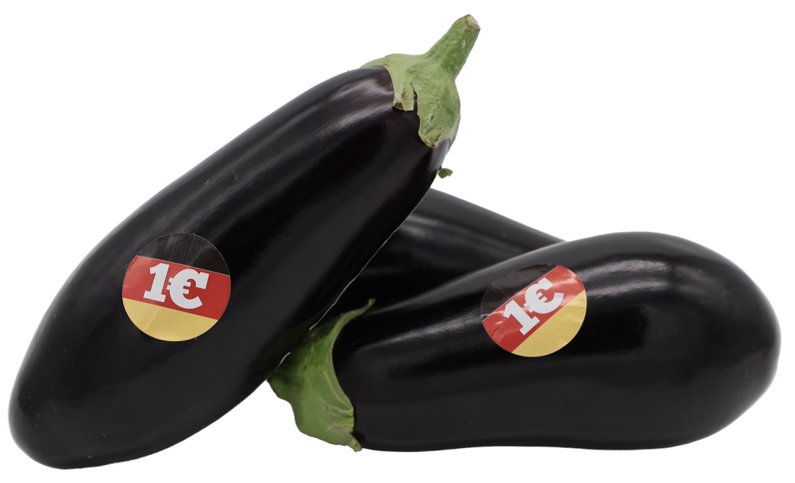 Aubergine