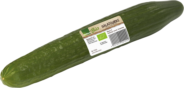 EDEKA Bio Salatgurken