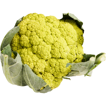 Deutschland - meinLand Bio - Bio-Blumenkohl