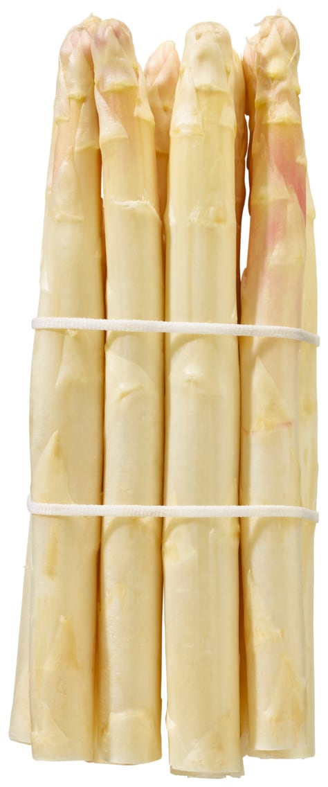 Spargel weiß/violett