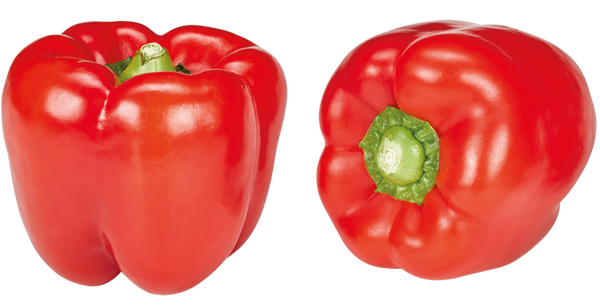 GUT&GÜNSTIG Paprika, rot