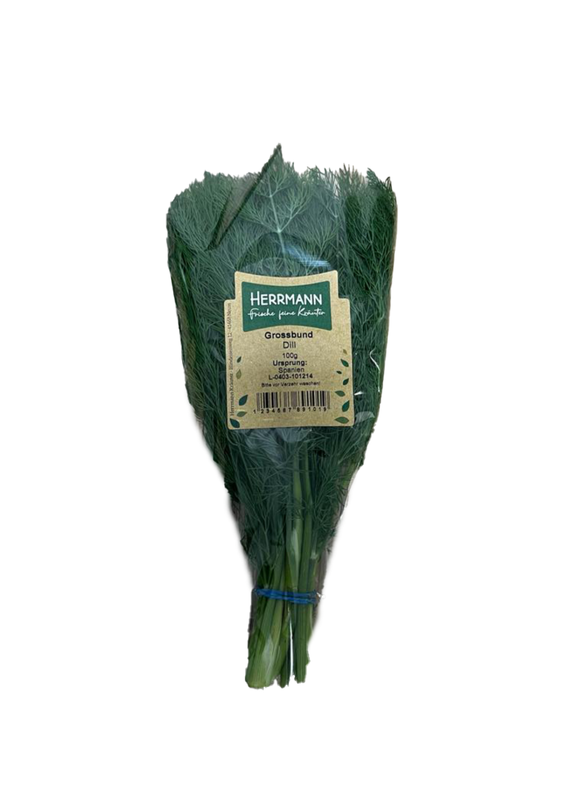 XXL Kräuterbund Dill, Minze, Petersilie glatt oder Koriander