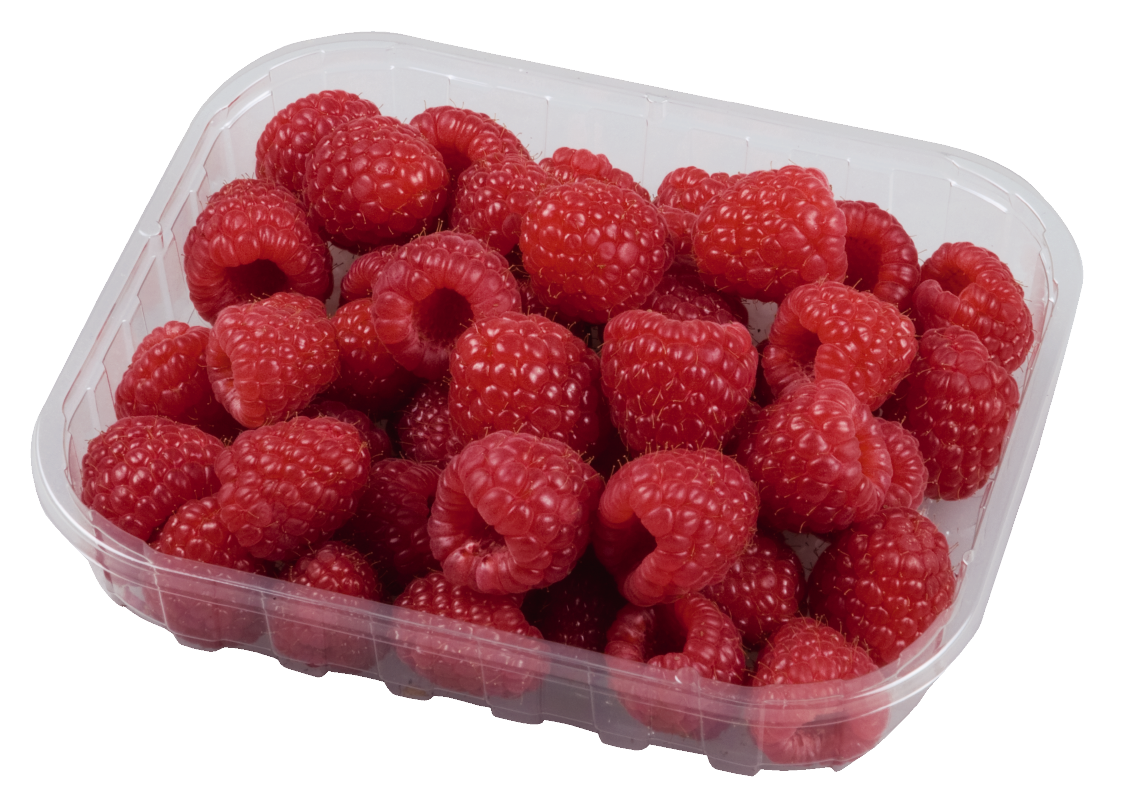 Himbeeren aus Marokko