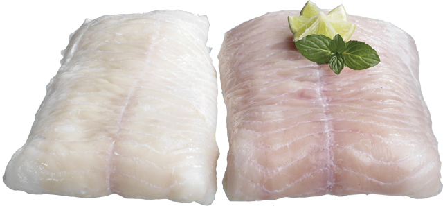 Mittwoch bis Samstag: Steinbeißerfilets
