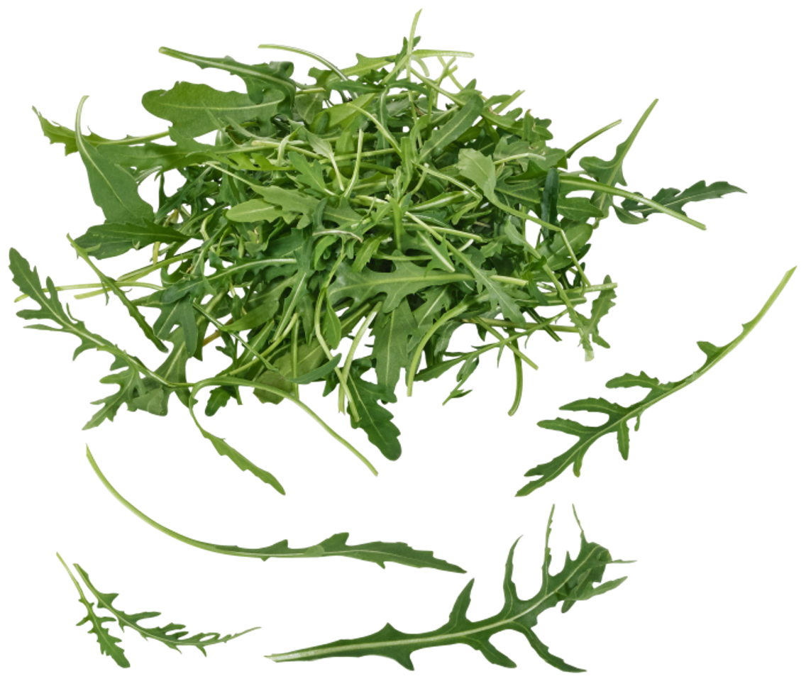 Unsere Heimat Rucola, Pflücksalat oder Babyspinat aus Norddeutschland
