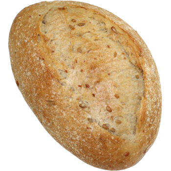 Salzkruste