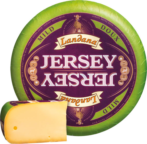 Landana Jersey-Gouda