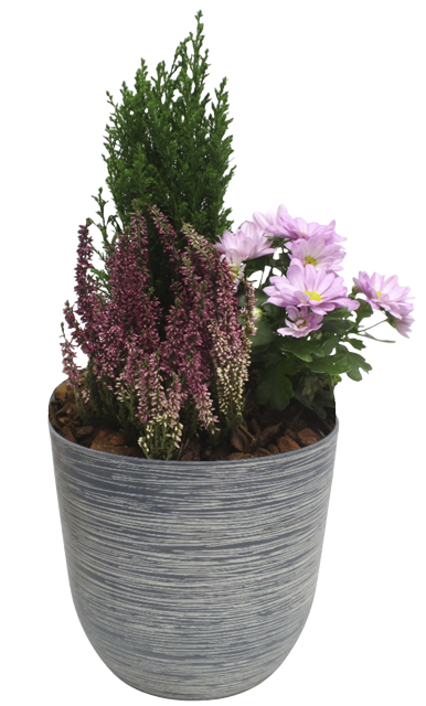 ¹Bepflanztes Outdoor Gefäß